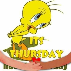 Meet your Posher, Deb